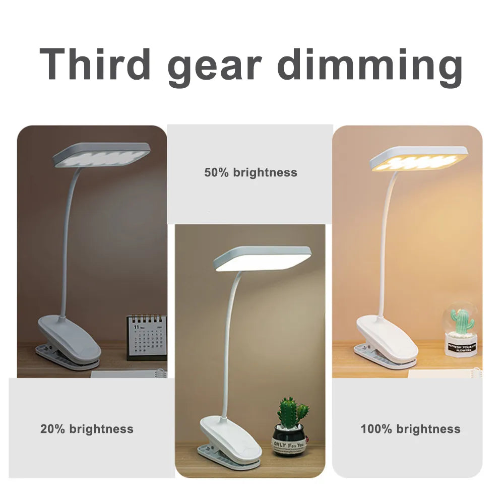 Clip-on Rechargeable Desk Lamp for Study & Bedroom