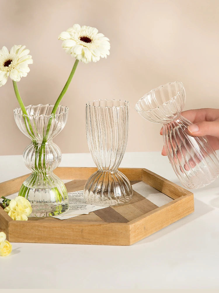 Modern Transparent Glass Vase Set for Home