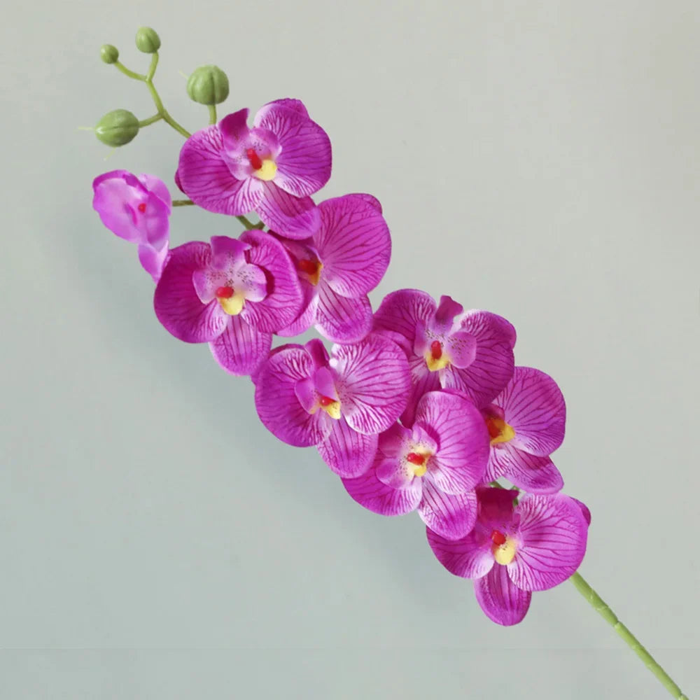 Künstliche Phalaenopsis-Orchideenstiele, die sich wie echt anfühlen