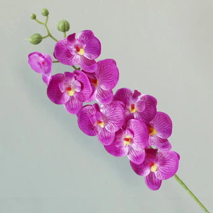 Real Touch Artificial Phalaenopsis Orchid Stems