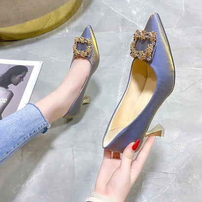 Women's Pointed Toe High Heels Silk Face Shoes