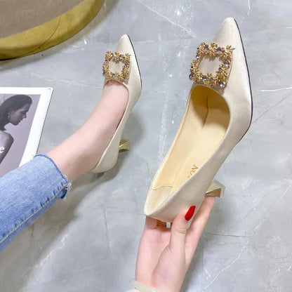 Women's Pointed Toe High Heels Silk Face Shoes