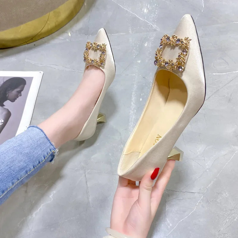Women's Pointed Toe High Heels Silk Face Shoes