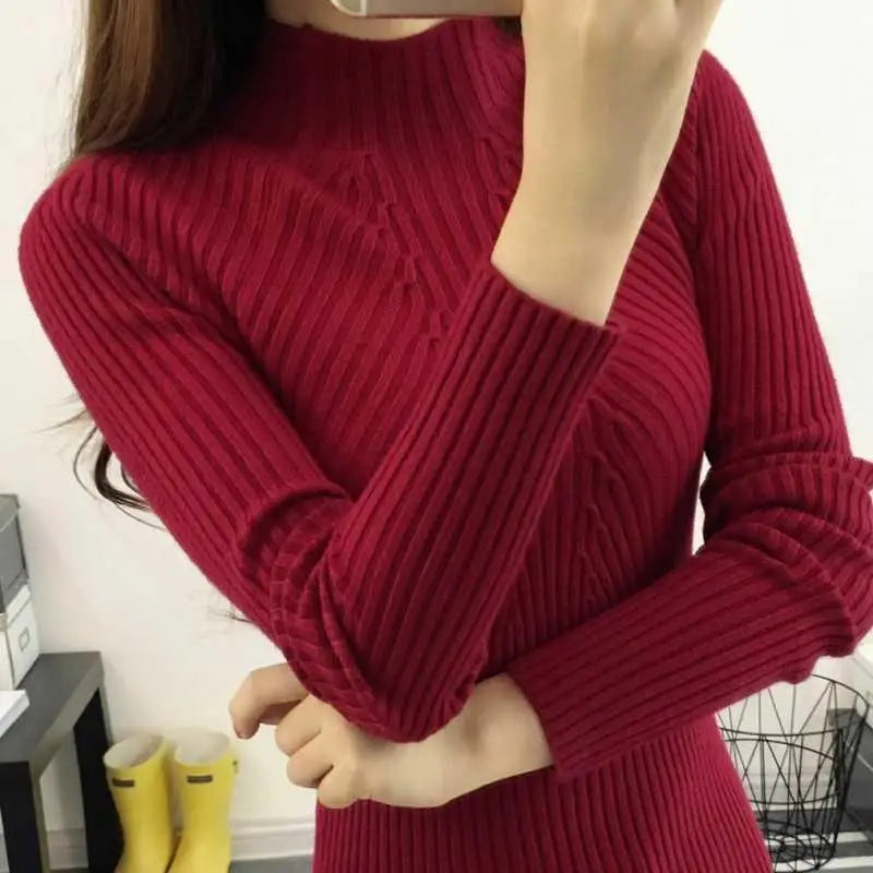 Women's Slim Kinitted Winter Turtleneck Sweater