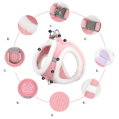 Pet Kitten Gatos Outdoor Petco Harness Leash Set