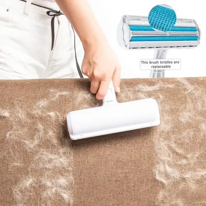 hair color remover before and after
