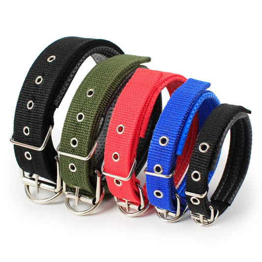 pet collars