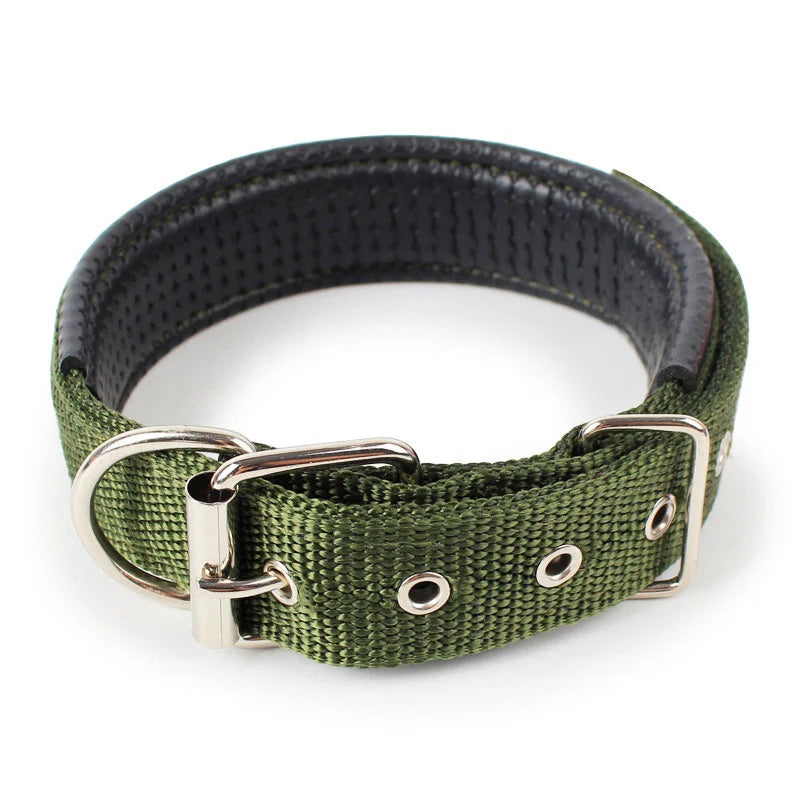 pet collars