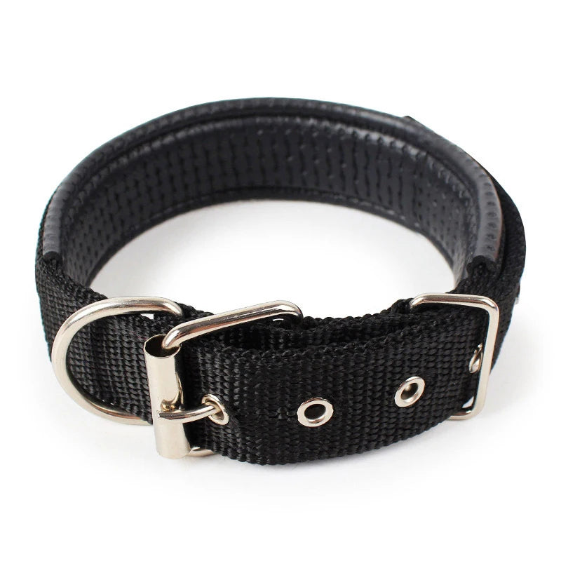 pet collars and tags