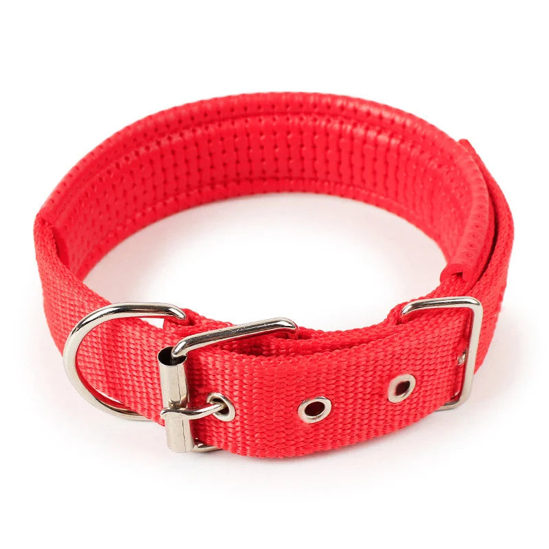 petsafe collars